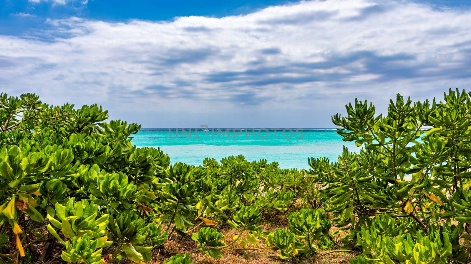 Tropical beach with green lush vegetation against a blue cloudy sky and turquoise water in sea, Mauritius, Africa. 
