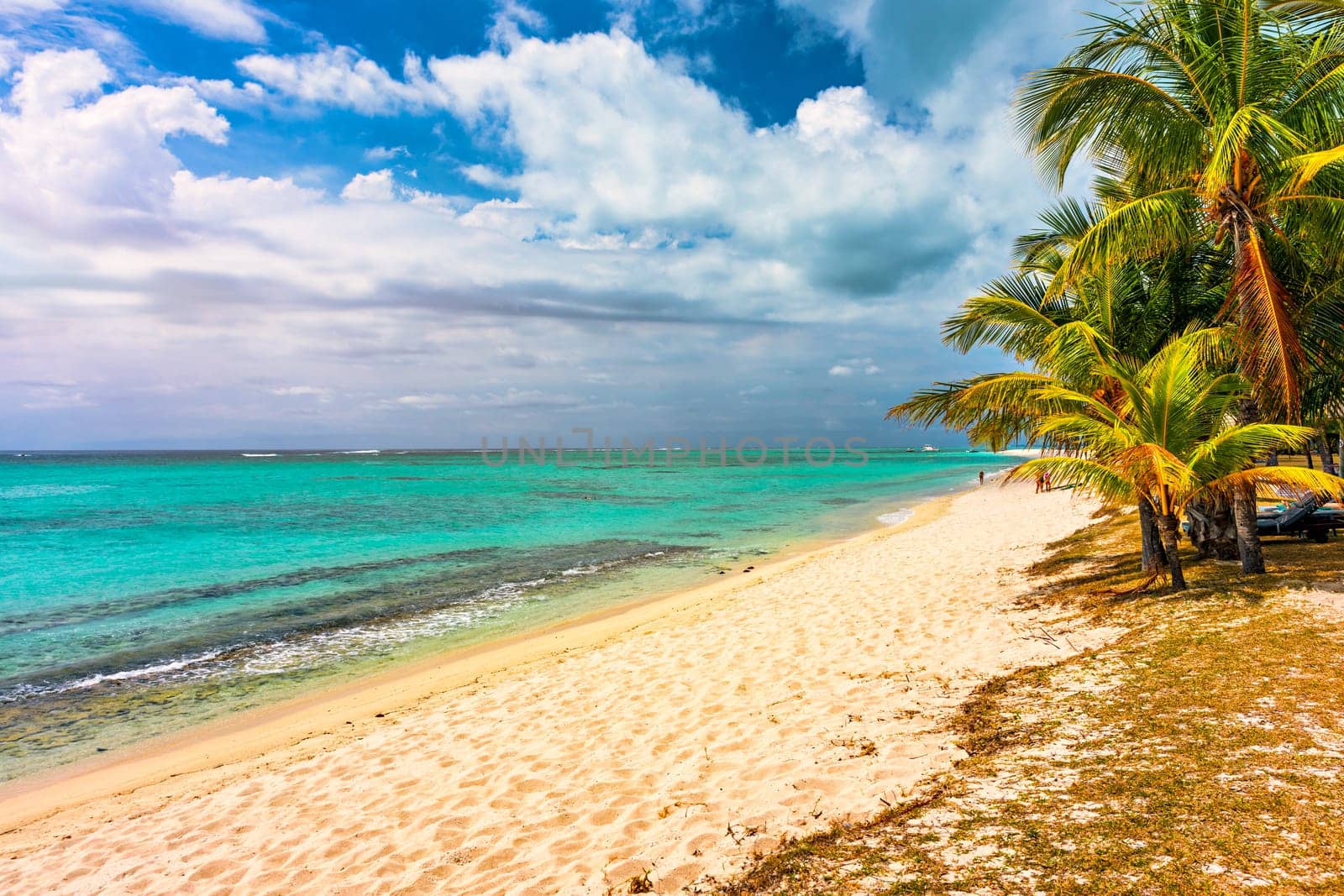 Tropical beach scenery, vacation in paradise island Mauritius. Dream exotic island, tropical paradise. Best beaches of Mauritius island, luxury resorts of Mauritius, Indian Ocean, Africa.