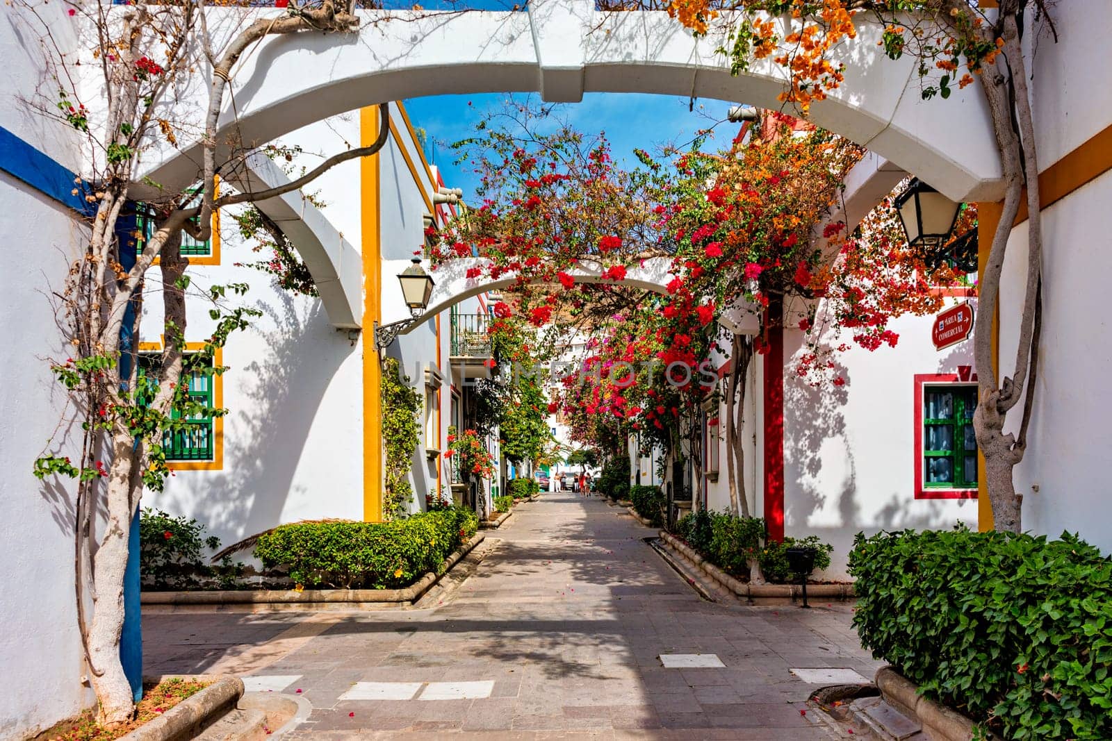 Street with blooming flowers in Puerto de Mogan, Gran Canaria, Spain. Favorite vacation place for tourists and locals on island. Puerto de Mogan with lots of bougainvillea flowers, Canary Island.