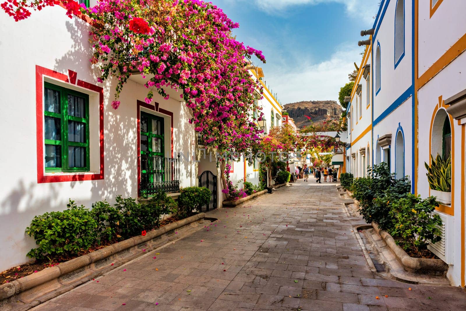 Street with blooming flowers in Puerto de Mogan, Gran Canaria, Spain. Favorite vacation place for tourists and locals on island. Puerto de Mogan with lots of bougainvillea flowers, Canary Island.