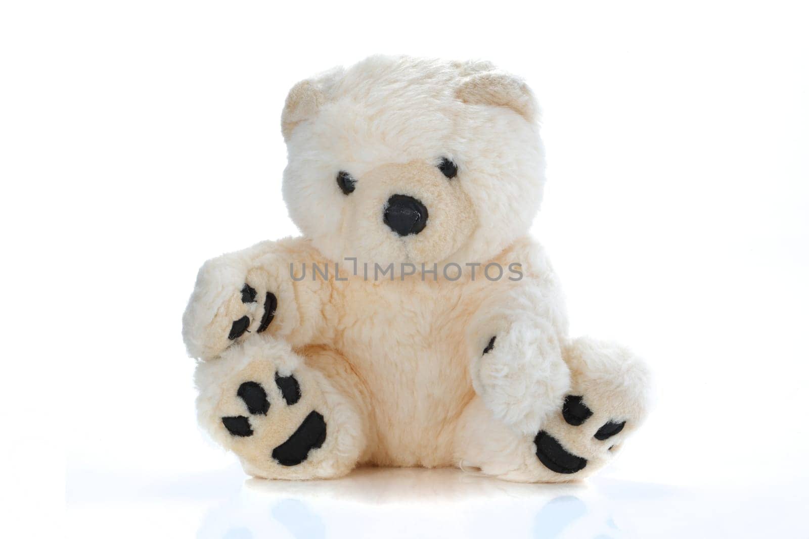 A cute tan Teddy Bear on white