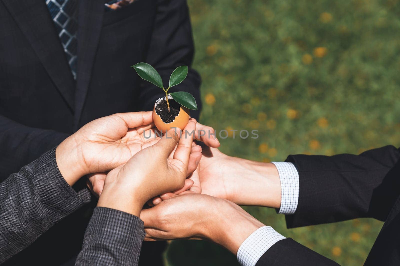 Group of business people holding repuposed eggshell plant. Gyre by biancoblue