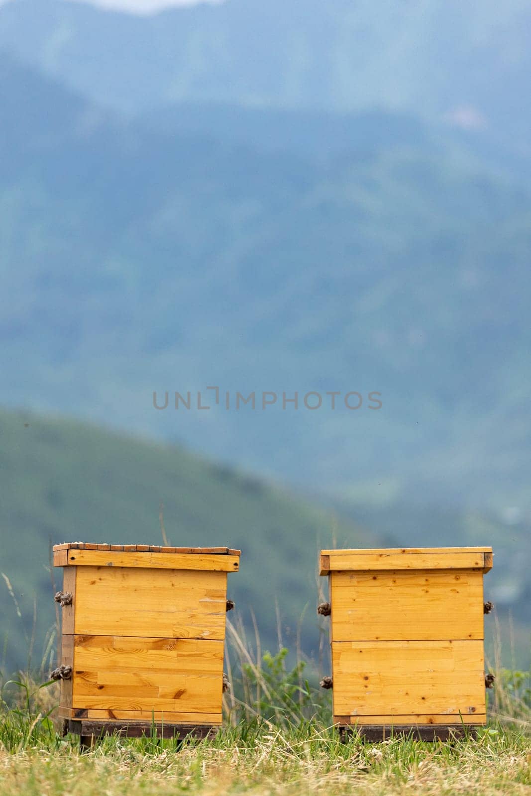 2 wooden houses for bees on a mountain bee farm, a beehive in an apiary, copy space, vertical.