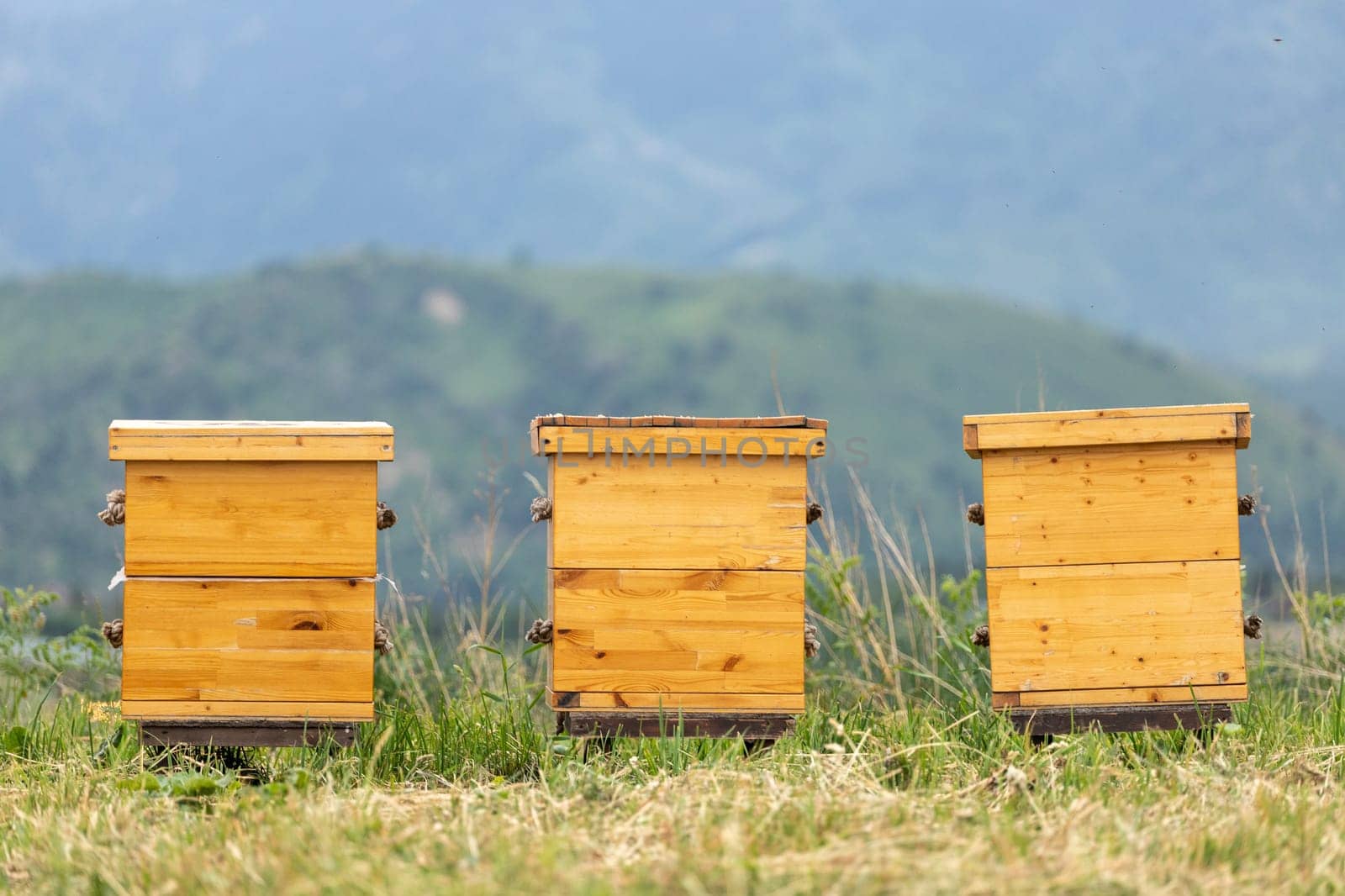 Wooden houses for bees on a mountain bee farm, a beehive in an apiary, copy space.