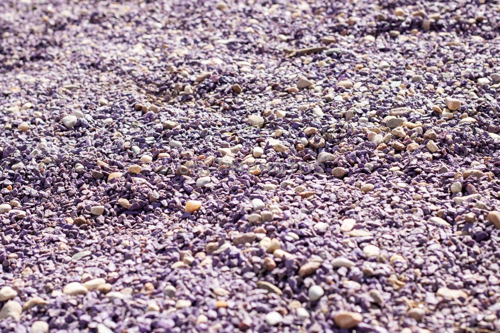 A mixture of purple gravel, rocks, and pebbles is scattered on the ground, blending with the asphalt road surface and soil, creating a unique texture