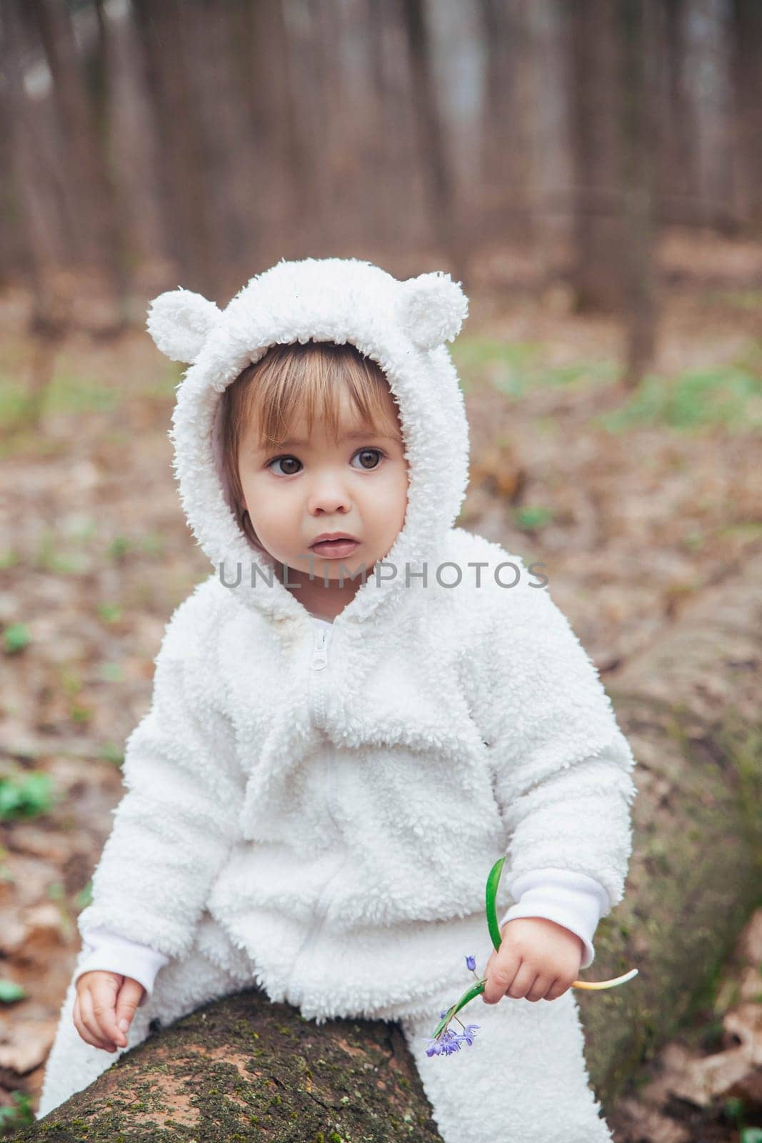 Adorable baby in a bear costume in the forest by a fallen tree.