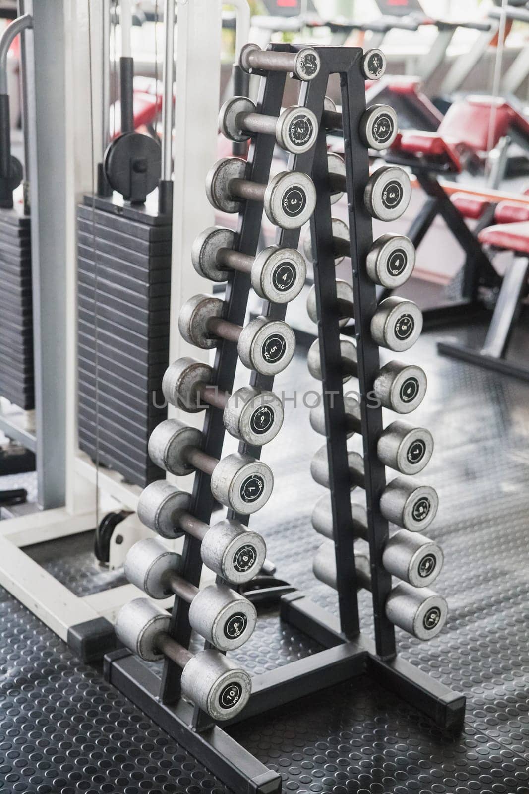 Set of dumbbells in the gym for bodybuilding.