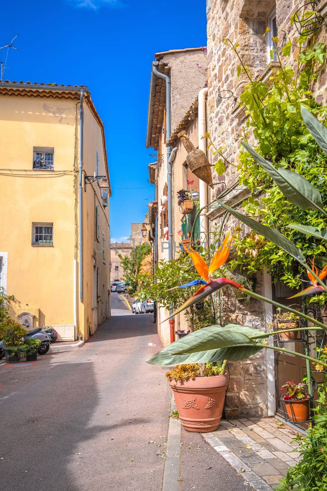 Town of Frejus colorful street architecture view, south of France