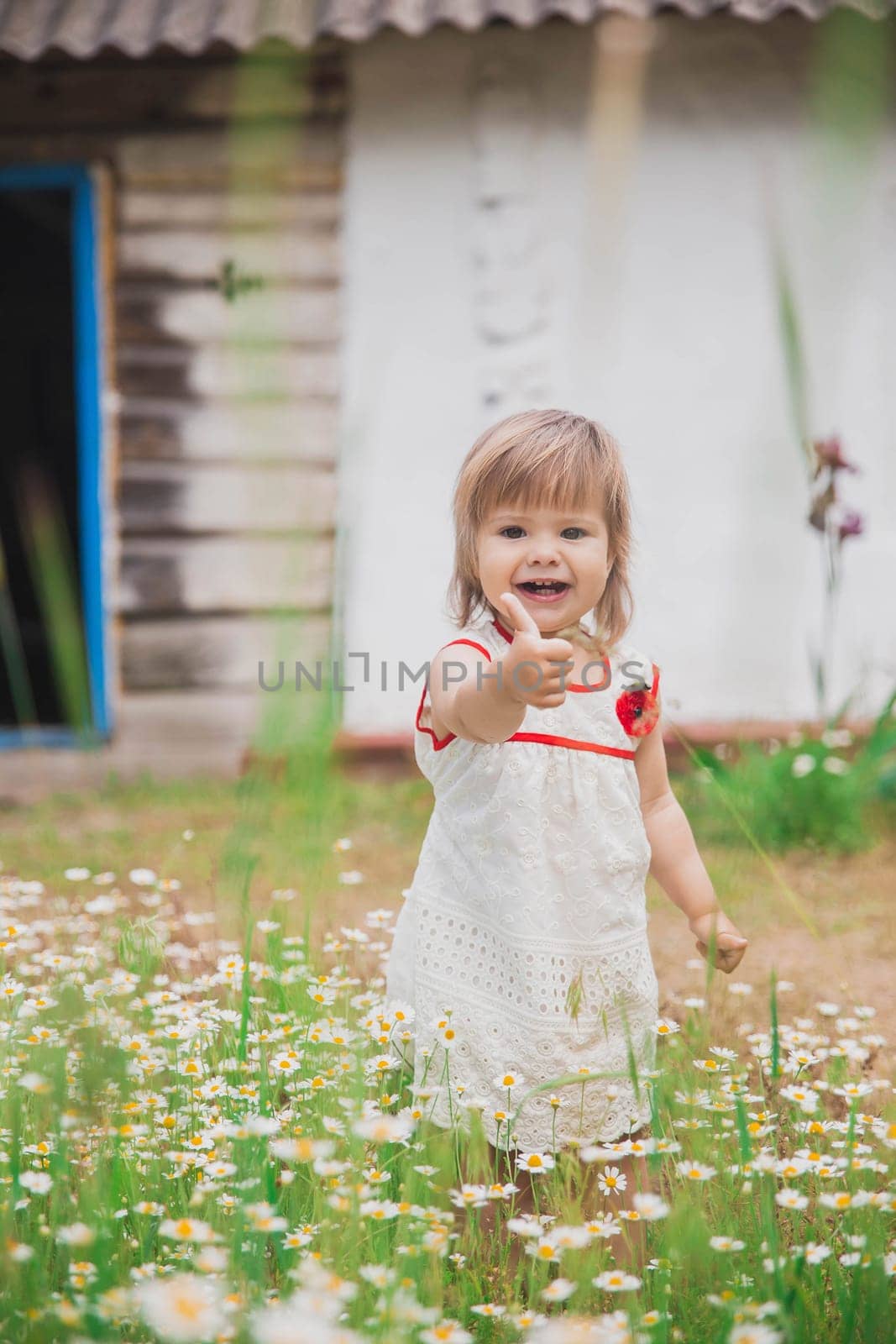charming baby in an embroidered dress near a wooden hut.