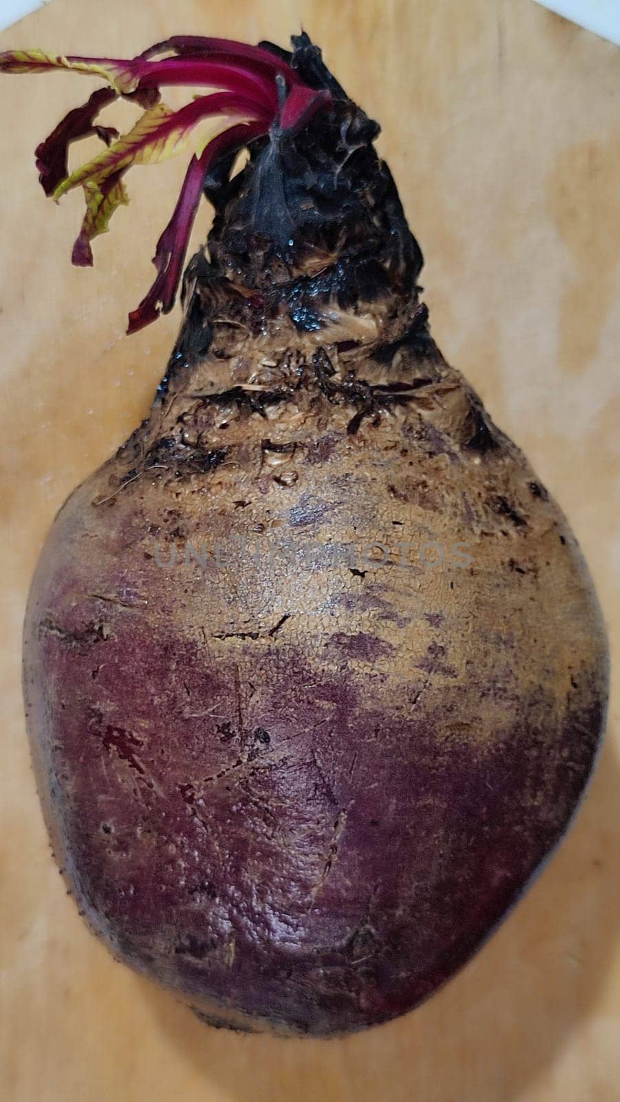 raw beets, vegetables food cooking, vegetarian. High quality photo
