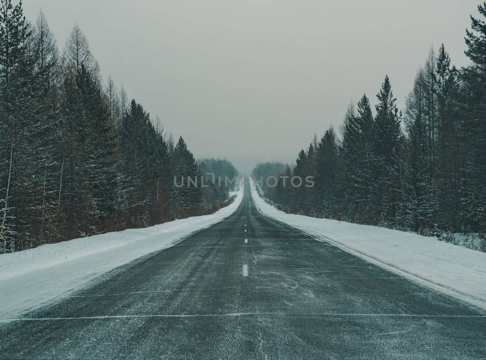 A long stretch of a deserted highway runs through a dense pine forest, blanketed in snow, under an overcast sky.