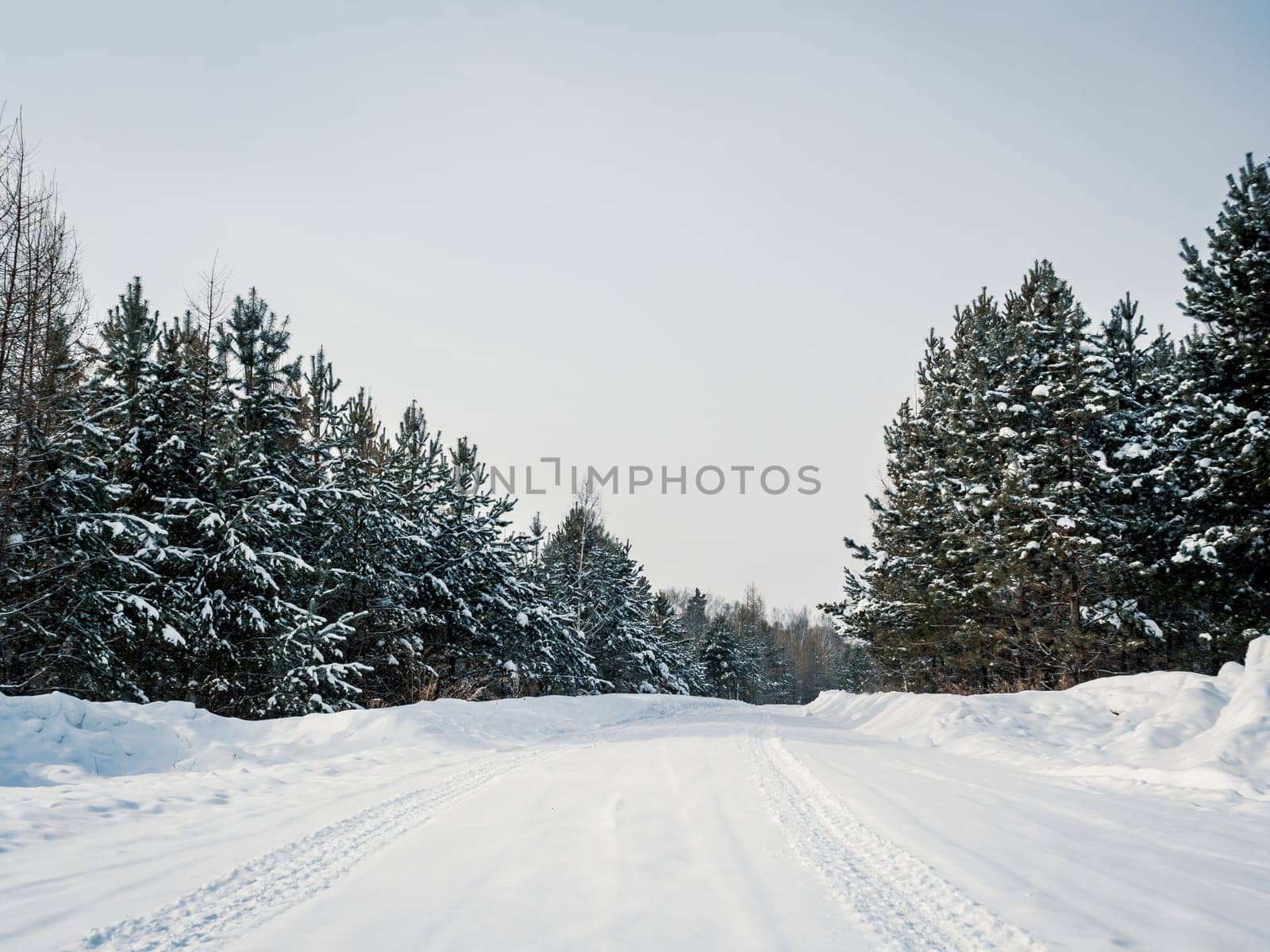 Snow-covered highway surrounded by wintery pine forest on cloudy day by Busker