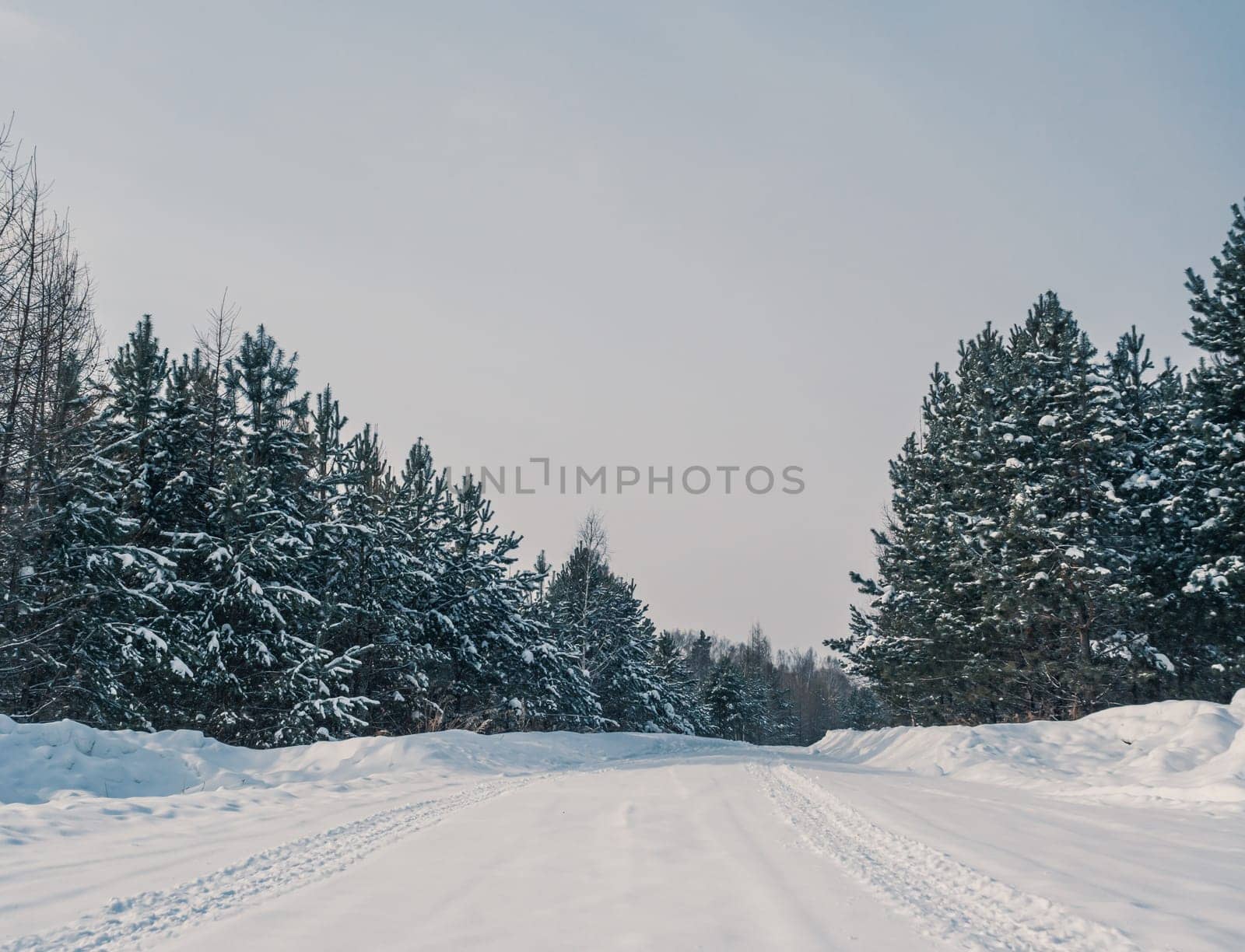 Snow-covered highway surrounded by wintery pine forest on cloudy day by Busker