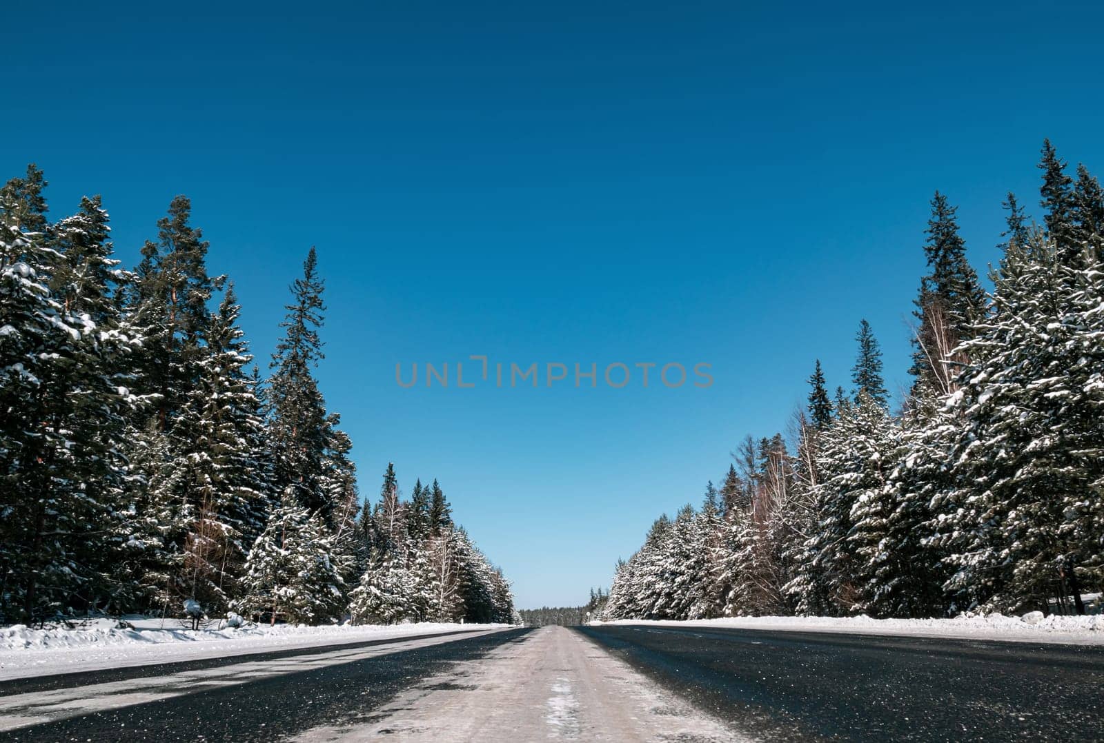 A long stretch of a deserted highway runs through a dense pine forest, blanketed in snow