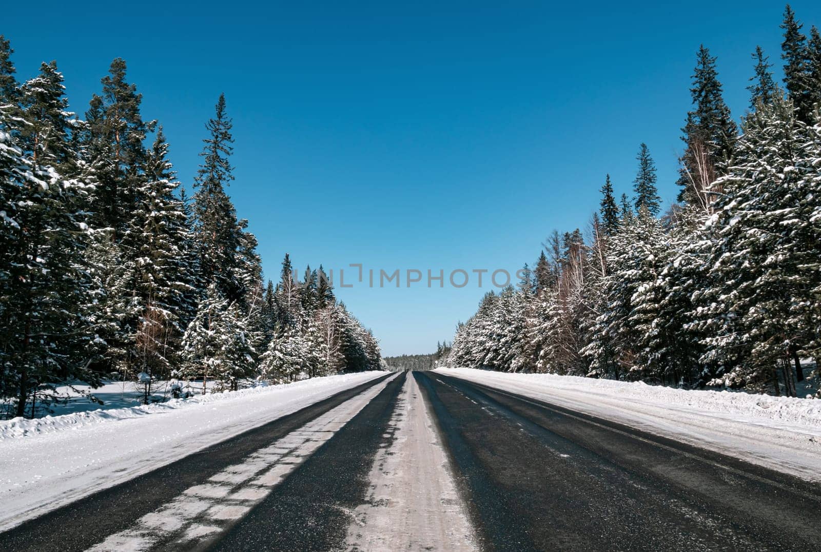 A long stretch of a deserted highway runs through a dense pine forest, blanketed in snow
