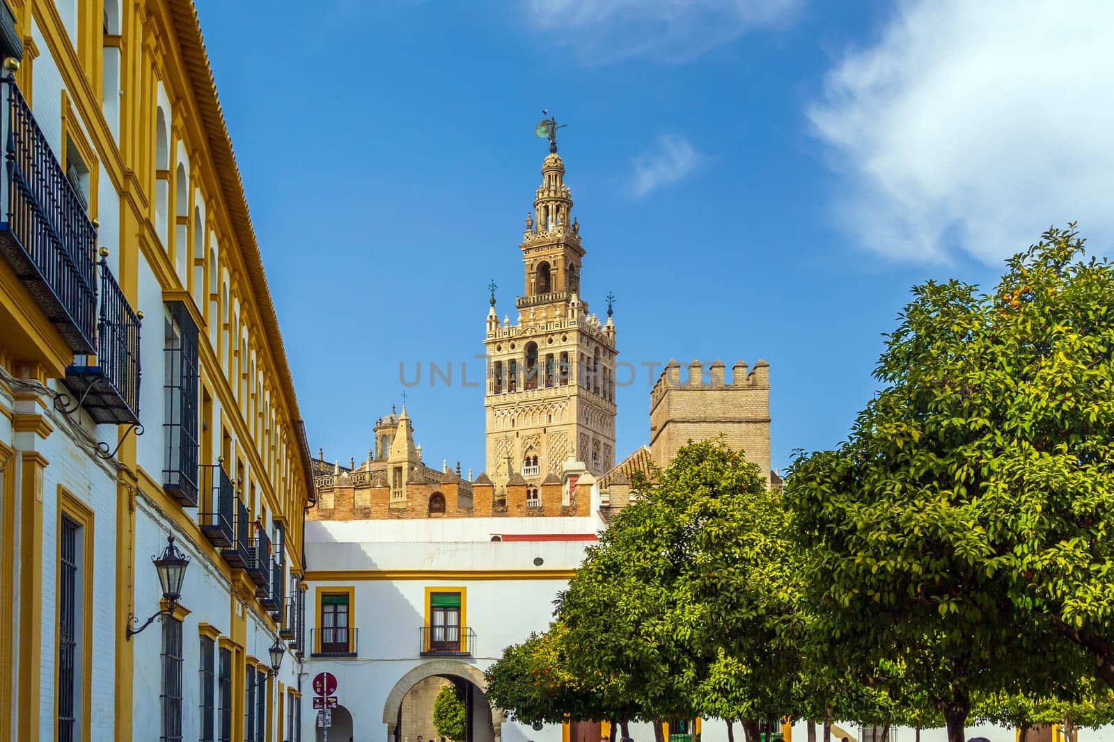 Orange trees with Giralda tower and Seville Cathedral in downtown Spain