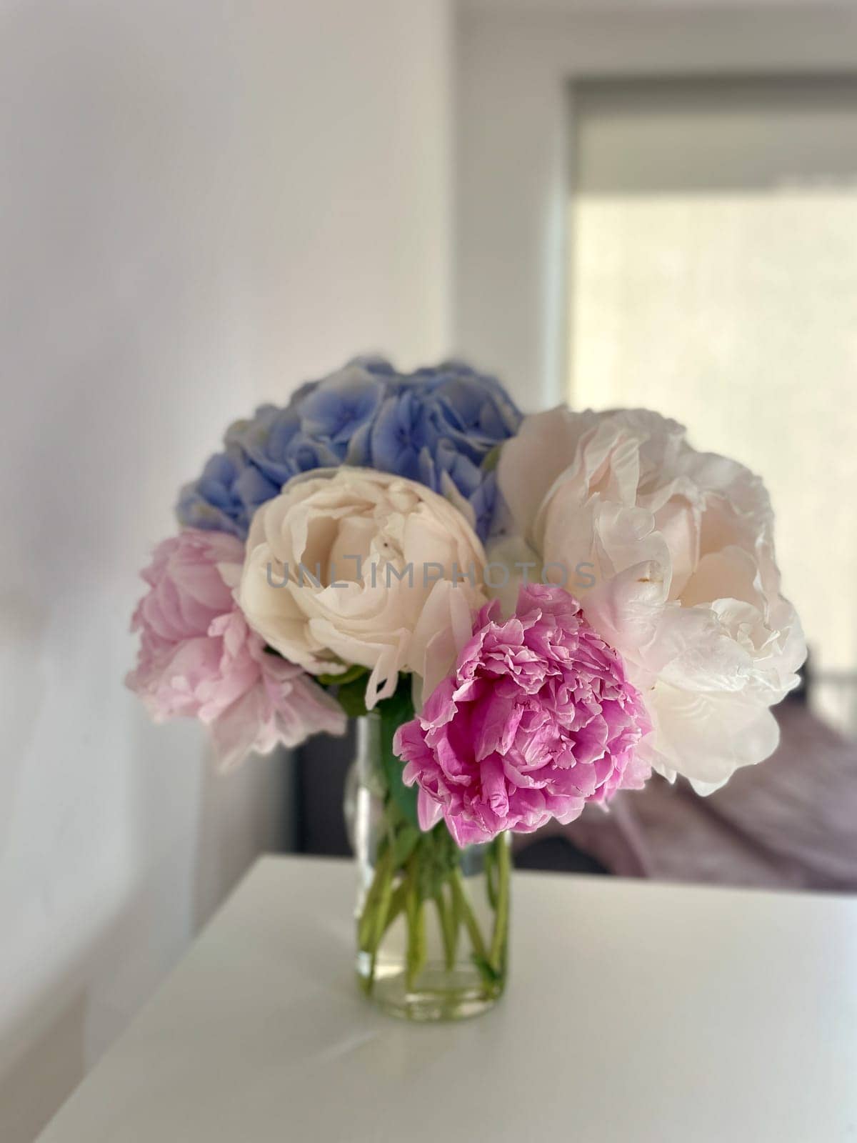 A bouquet of blooming white and pink peonies of delicate color by MilaLazo