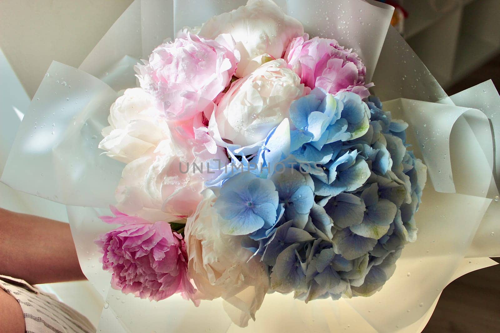 A bouquet of blooming white and pink peonies of delicate color. High quality photo