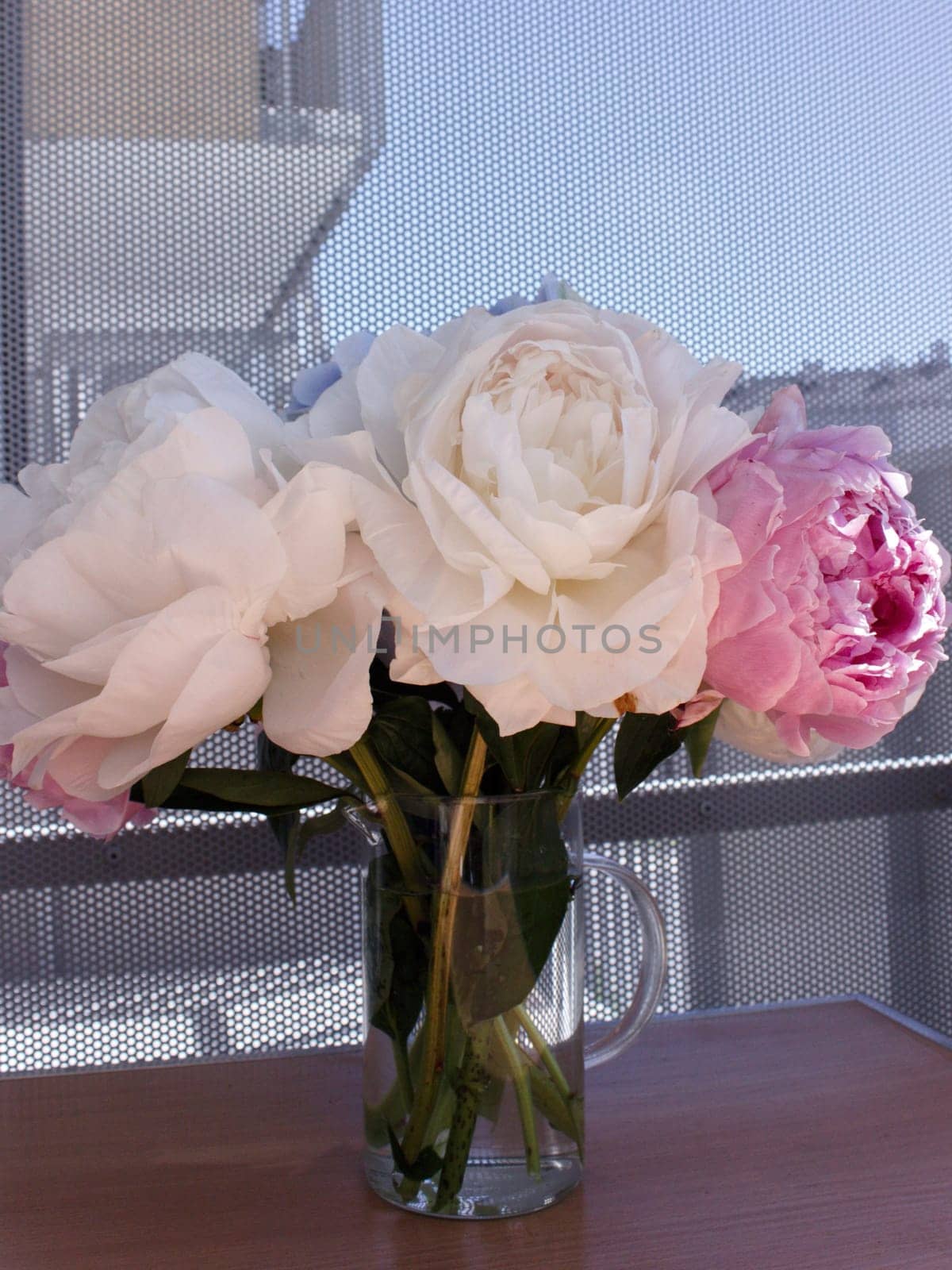 A bouquet of blooming white and pink peonies of delicate color. High quality photo