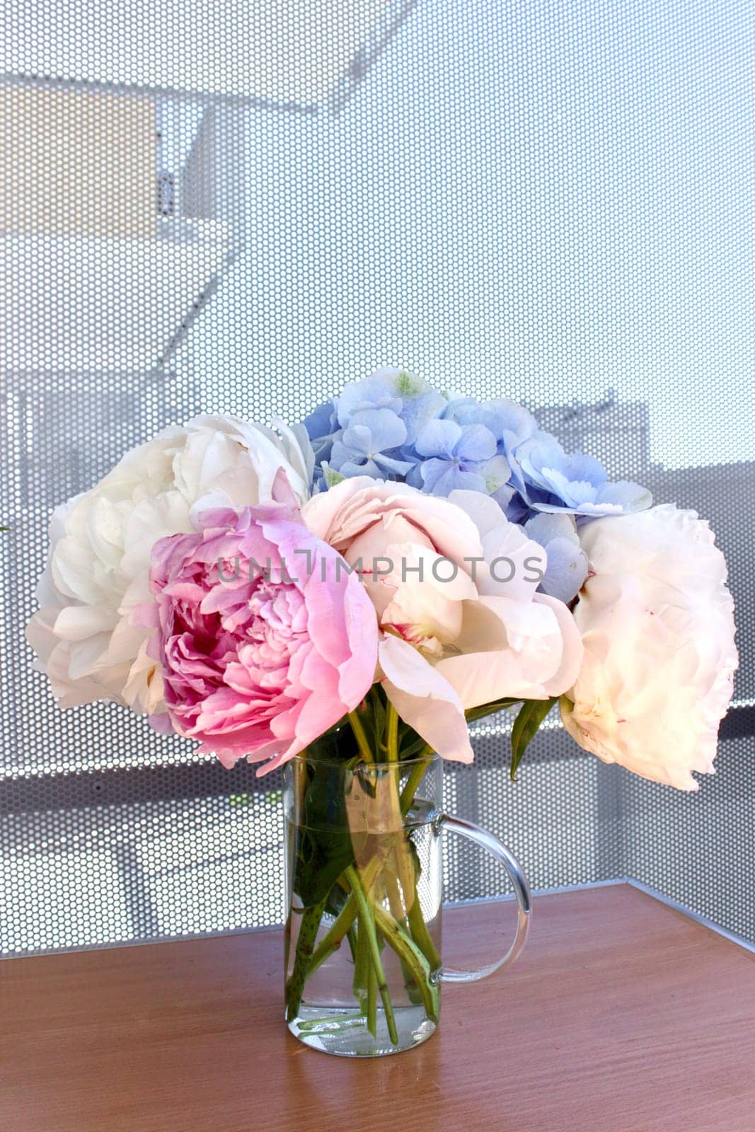 A bouquet of blooming white and pink peonies of delicate color. High quality photo