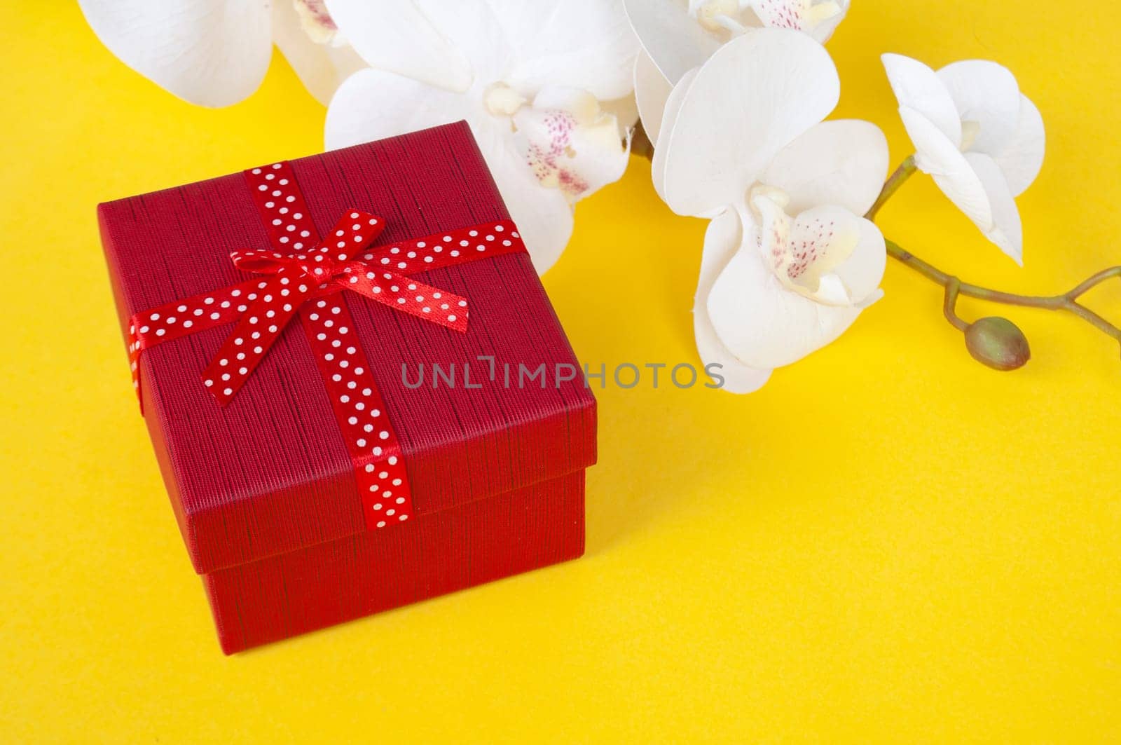 Red color present on white background with customizable space for text. Copy space and celebration