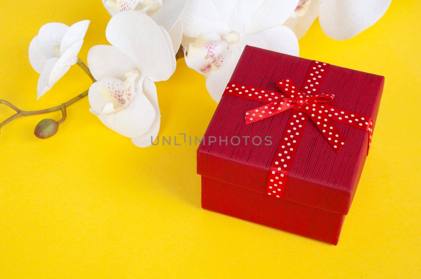 Red color present on yellow background with customizable space for text. Copy space and celebration.
