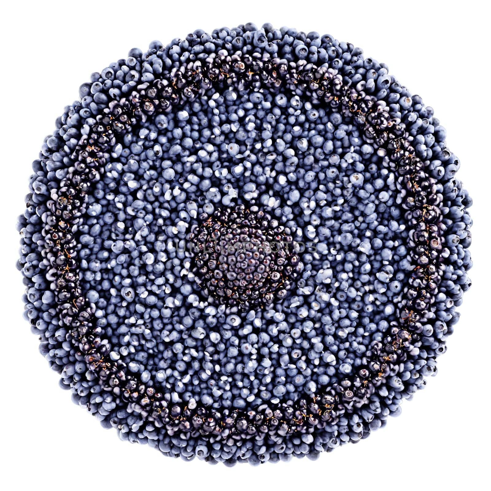 Dried Bilberry Mandala deep blue dried bilberries arranged in an enchanting mandala berries elegantly rolling. Food isolated on transparent background.