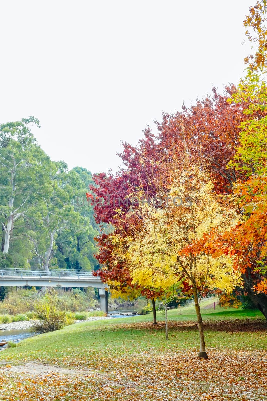 A late autumn afternoon in Jamieson in Victoria's High Country, Australia