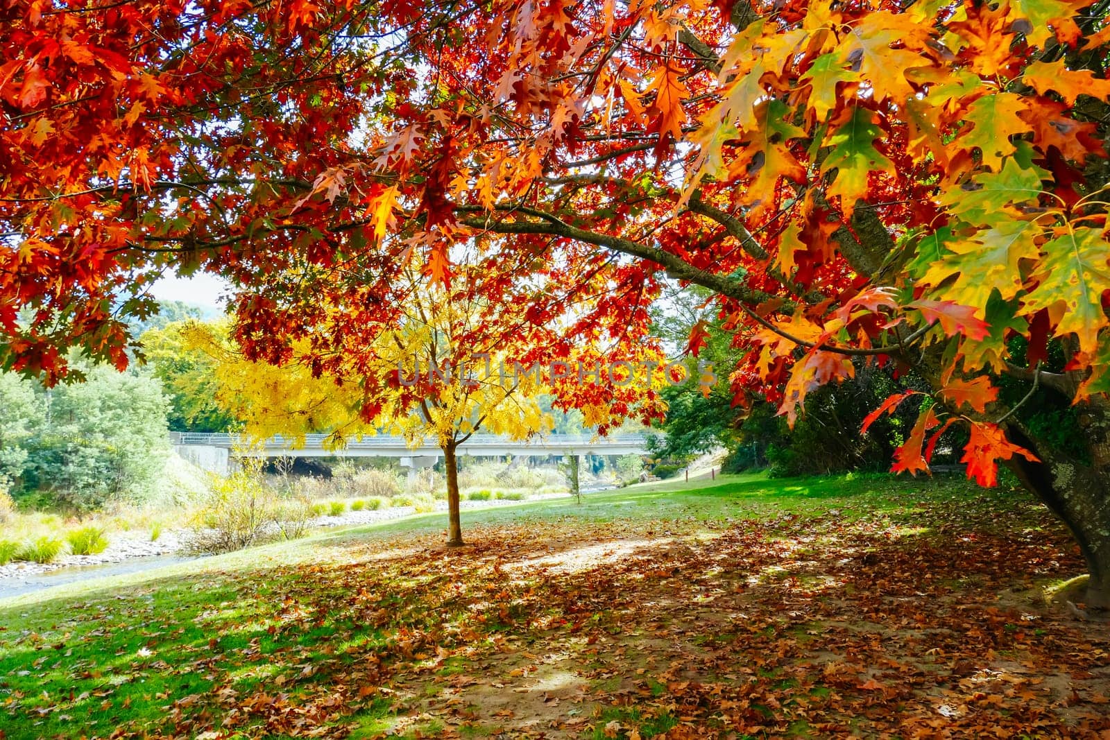 Rural Town of Jamieson in Australia by FiledIMAGE