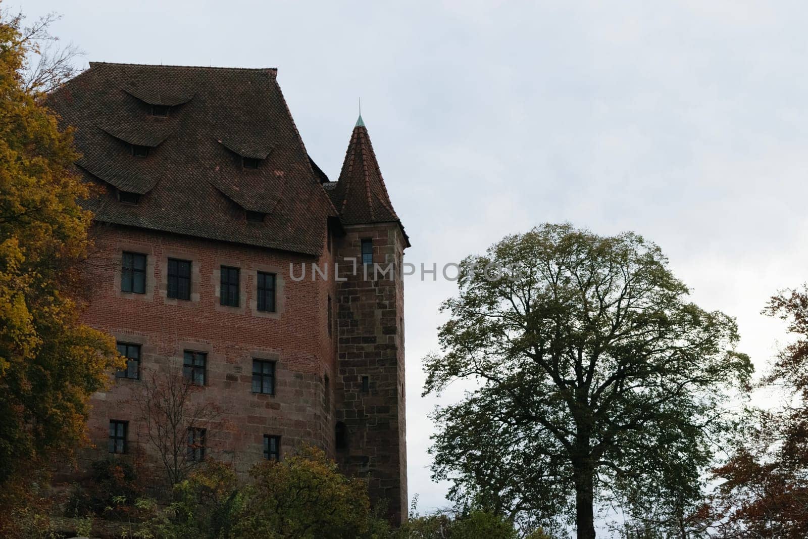 A historic brick castle with a tall tower and steep roofs, surrounded by trees.