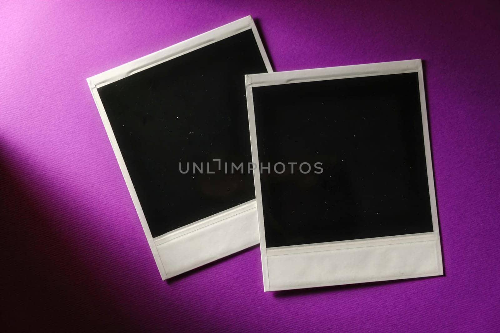 Two blank cards on purple background. Blank square photo frame on wall copy space download by igor010