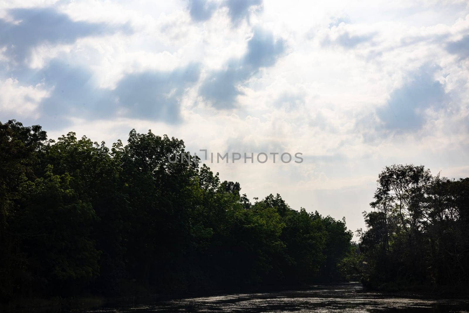 A beautiful wild river flowing through forests and meadows. The River under a beautifully blue sky.