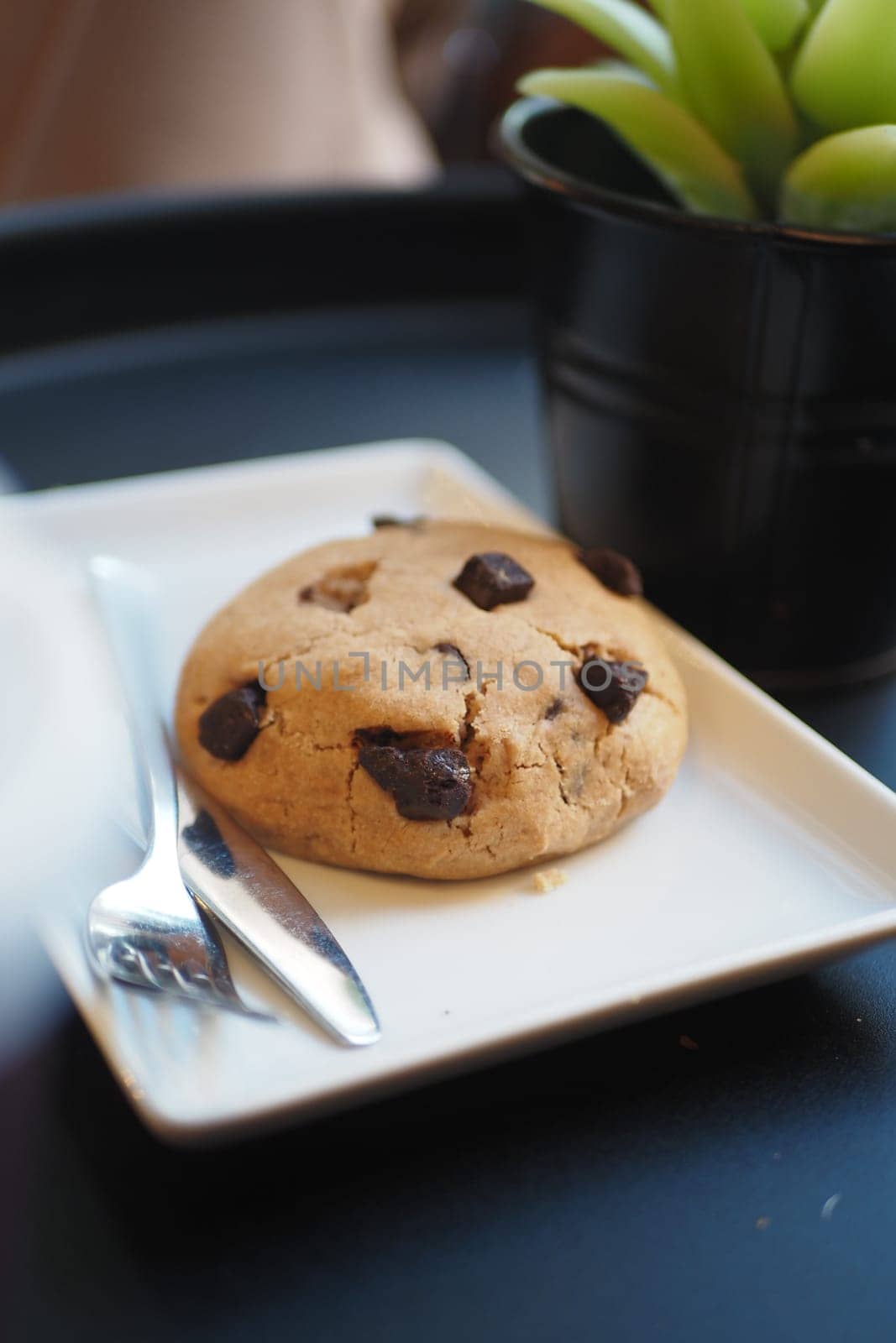 chocolate chip cookies on a plate .