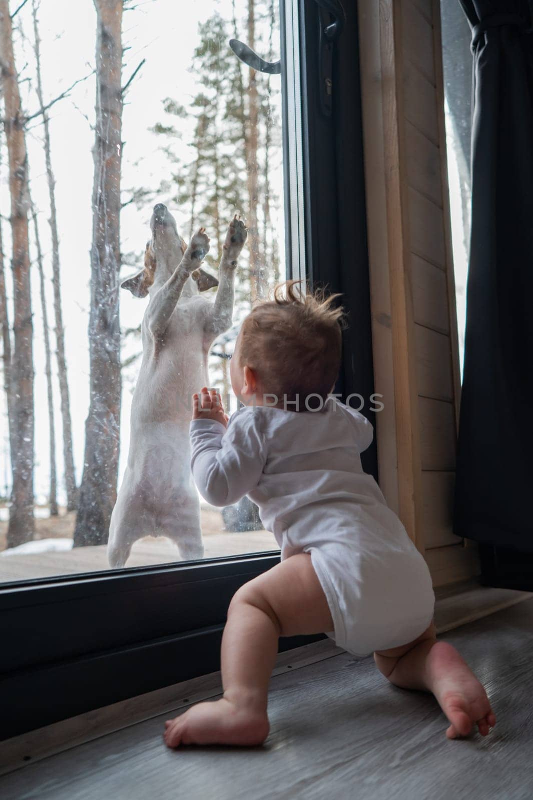 The dog stands at the patio window and knocks his paw on the glass towards the standing baby boy from the side. Vertical photo
