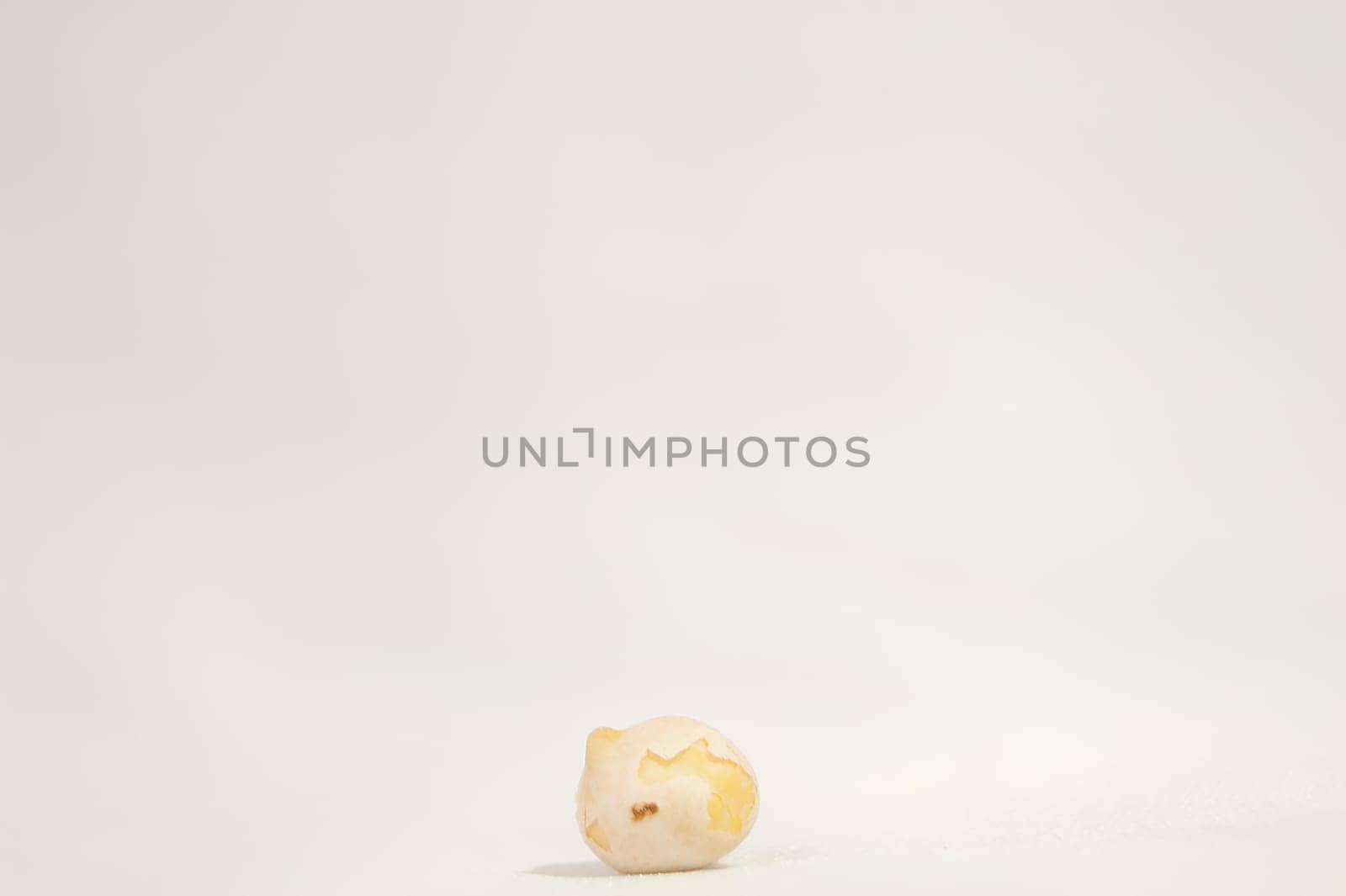A Chickpea in Spotlight A Close-Up Look. High quality photo