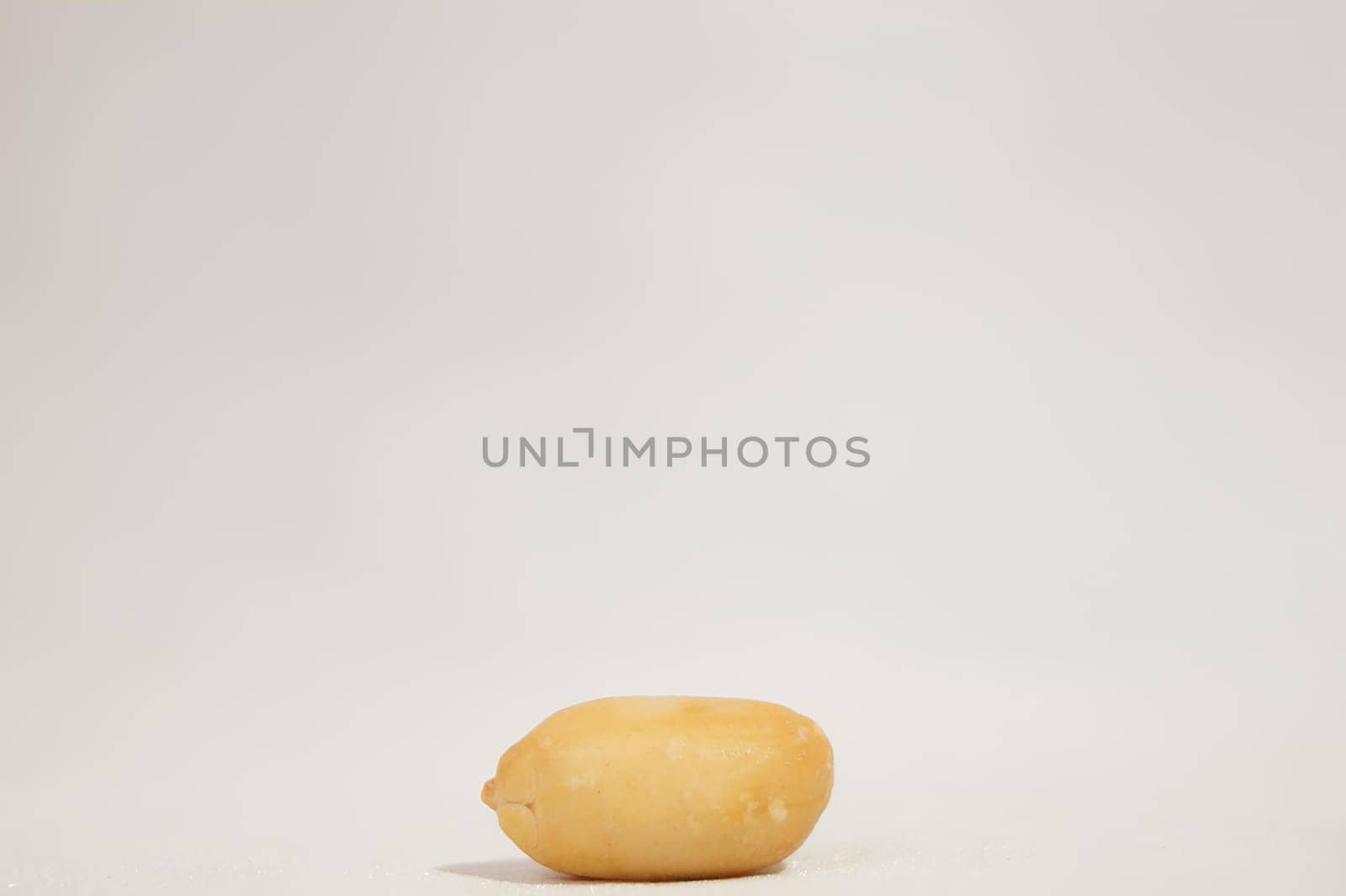 A Single Peanut in the Shell. High quality photo