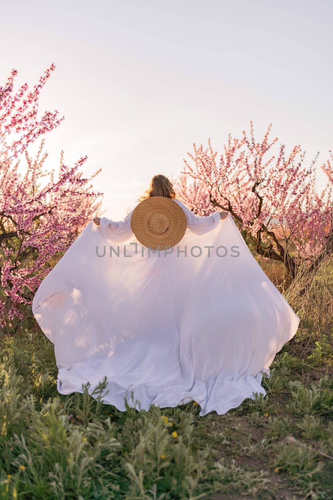 Woman blooming peach orchard. Against the backdrop of a picturesque peach orchard, a woman in a long white dress and hat enjoys a peaceful walk in the park, surrounded by the beauty of nature. by Matiunina
