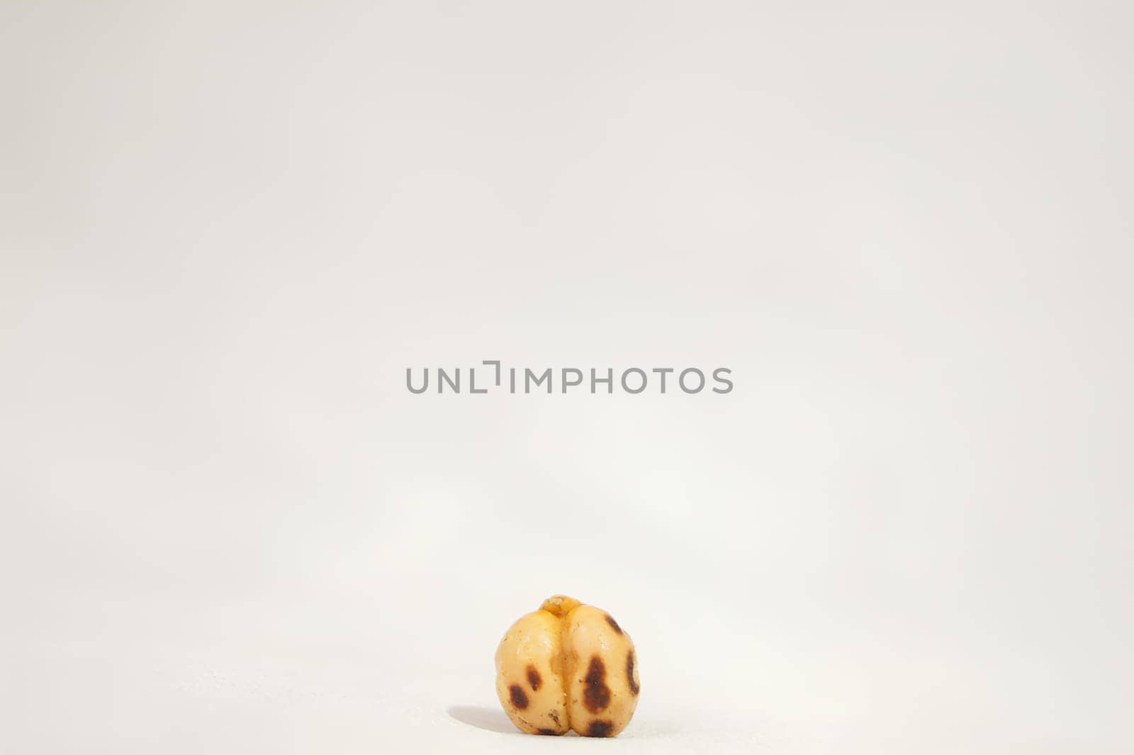 A Single Crunchy Chickpea. High quality photo
