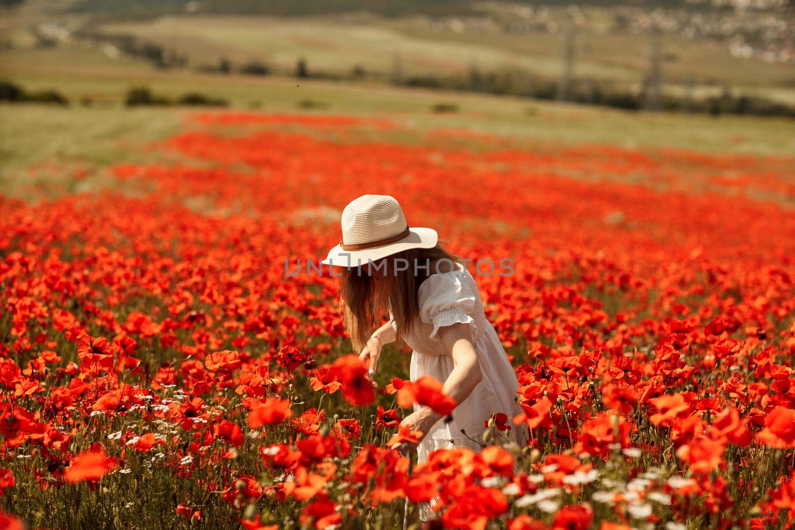 Field poppies woman. Happy woman in a white dress and hat stand with her back a blooming field of poppy. Field of blooming poppies