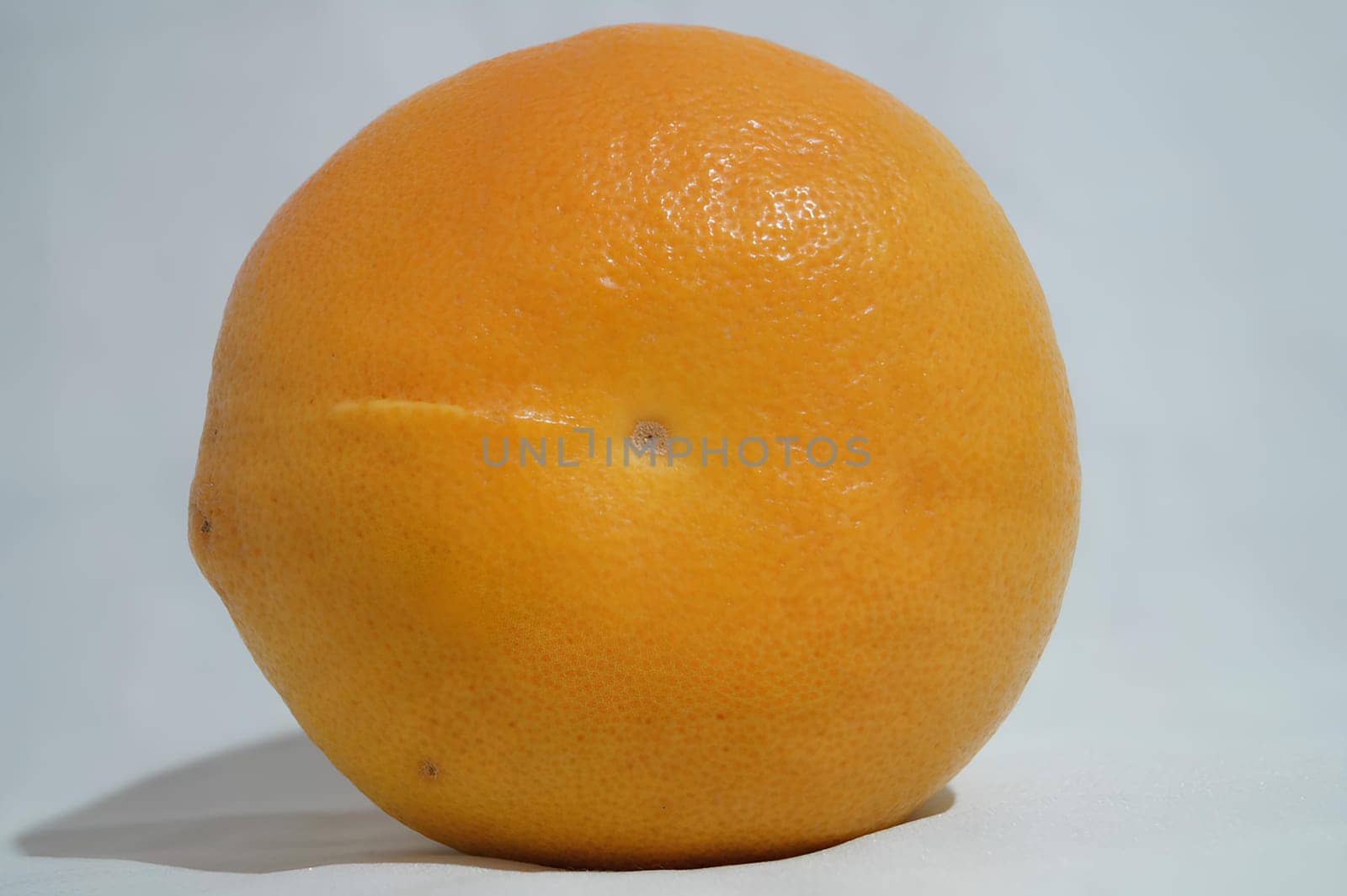 Single Orange on White Background. High quality photo