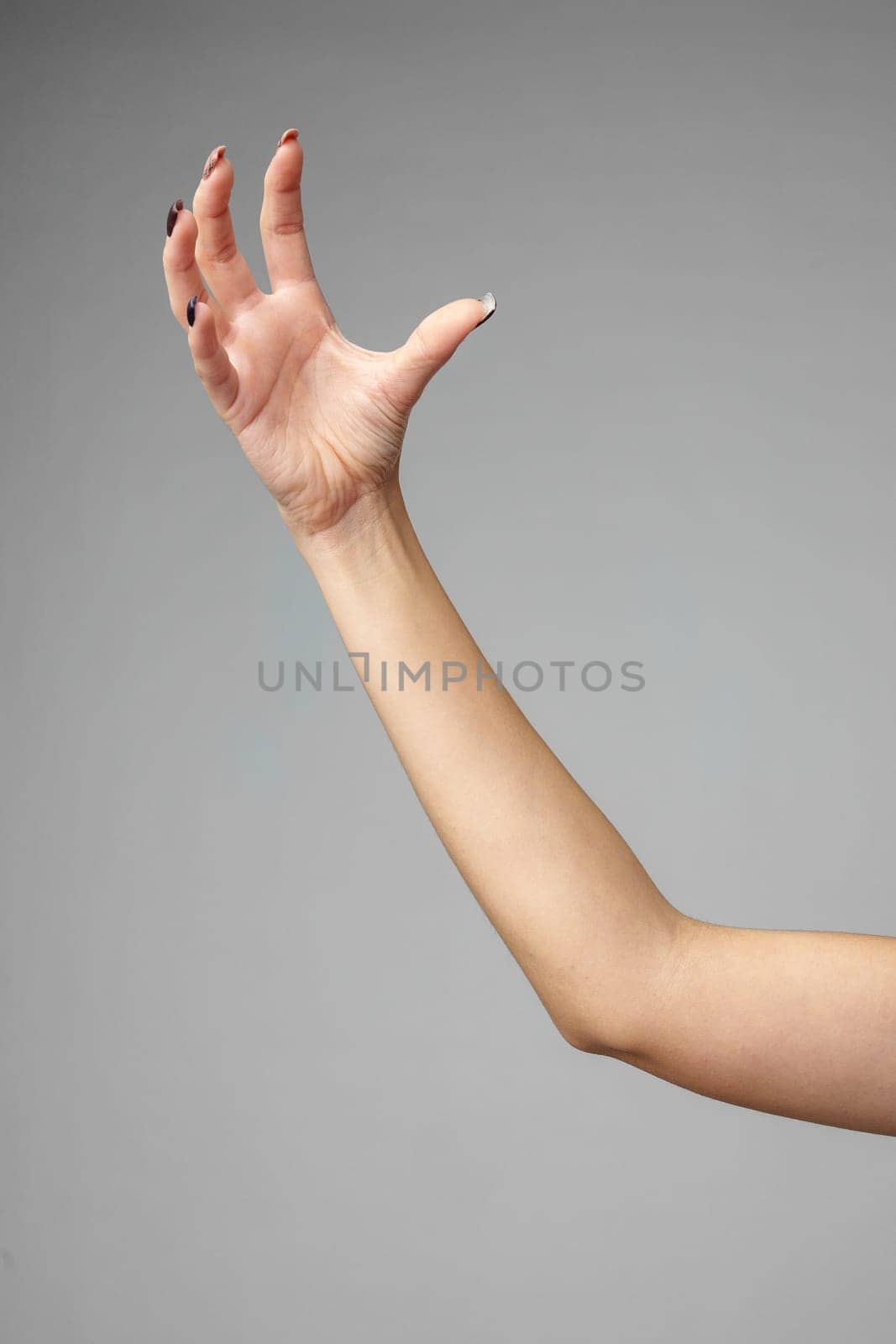 An outstretched arm with a relaxed hand and splayed fingers is captured against a neutral gray backdrop. The light highlights the contours and the natural complexion of the skin, showcasing a gesture that could imply reaching out or offering.