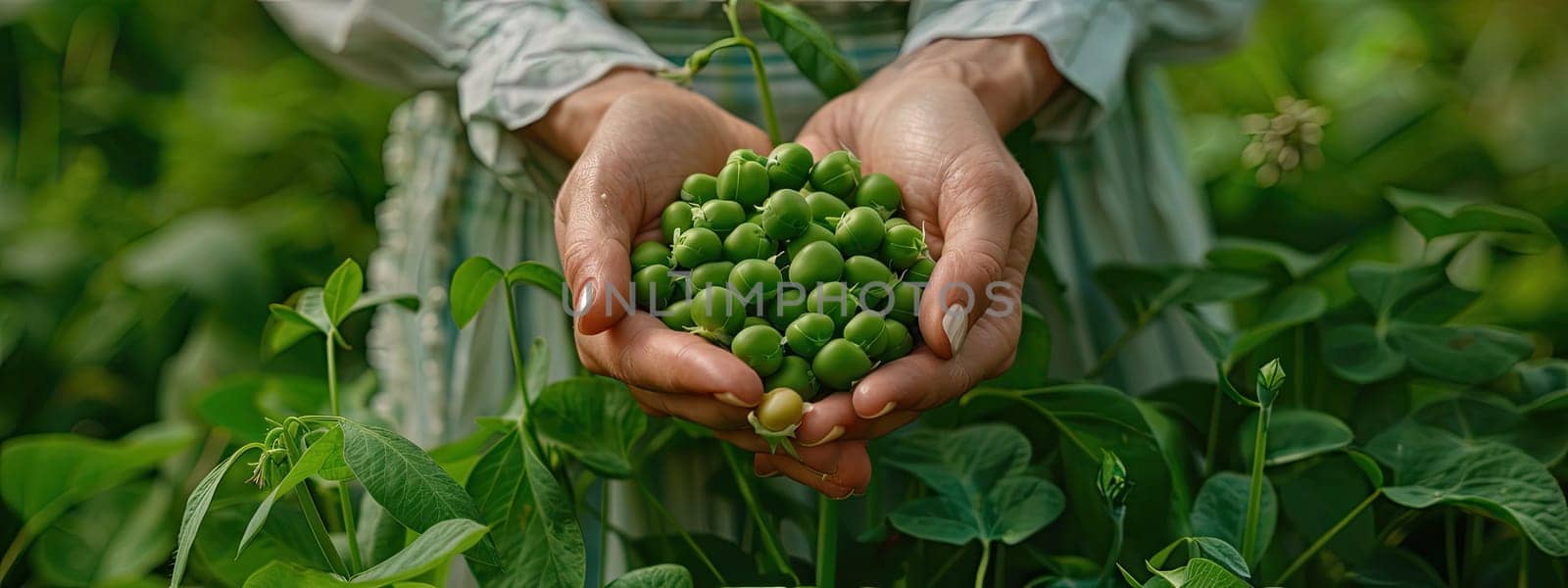 Harvest in the hands of a woman in the garden. Selective focus. nature.