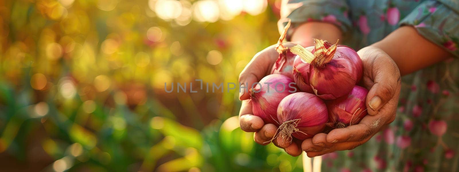 Harvest in the hands of a woman in the garden. Selective focus. nature.