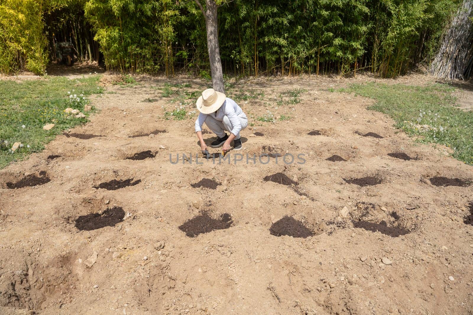 Woman cultivating of eco friendly products at her garden in sunny day. High quality photo