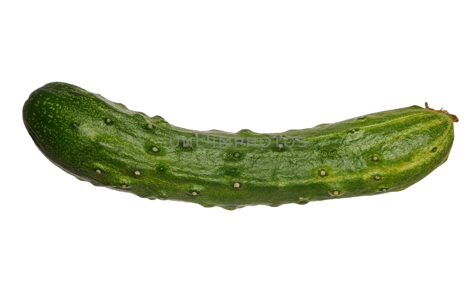 Fresh green cucumber on isolated background