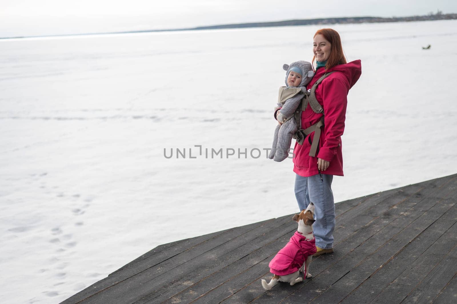 Caucasian woman walks with her son in an ergo backpack and a Jack Russell terrier dog in nature in winter