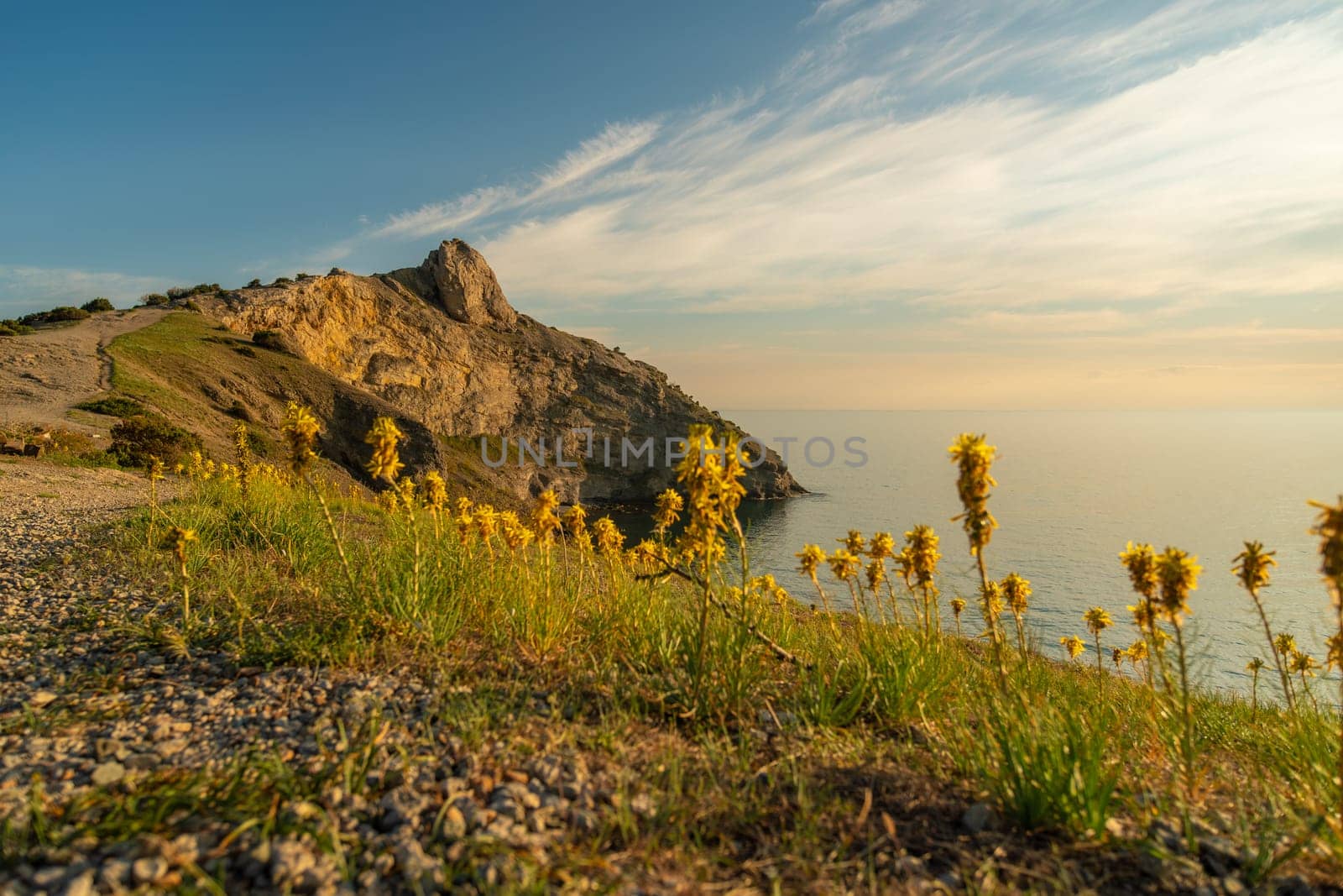 A rocky hillside with a view of the ocean and a field of yellow flowers. The scene is serene and peaceful, with the sun shining brightly on the flowers and the water. by Matiunina