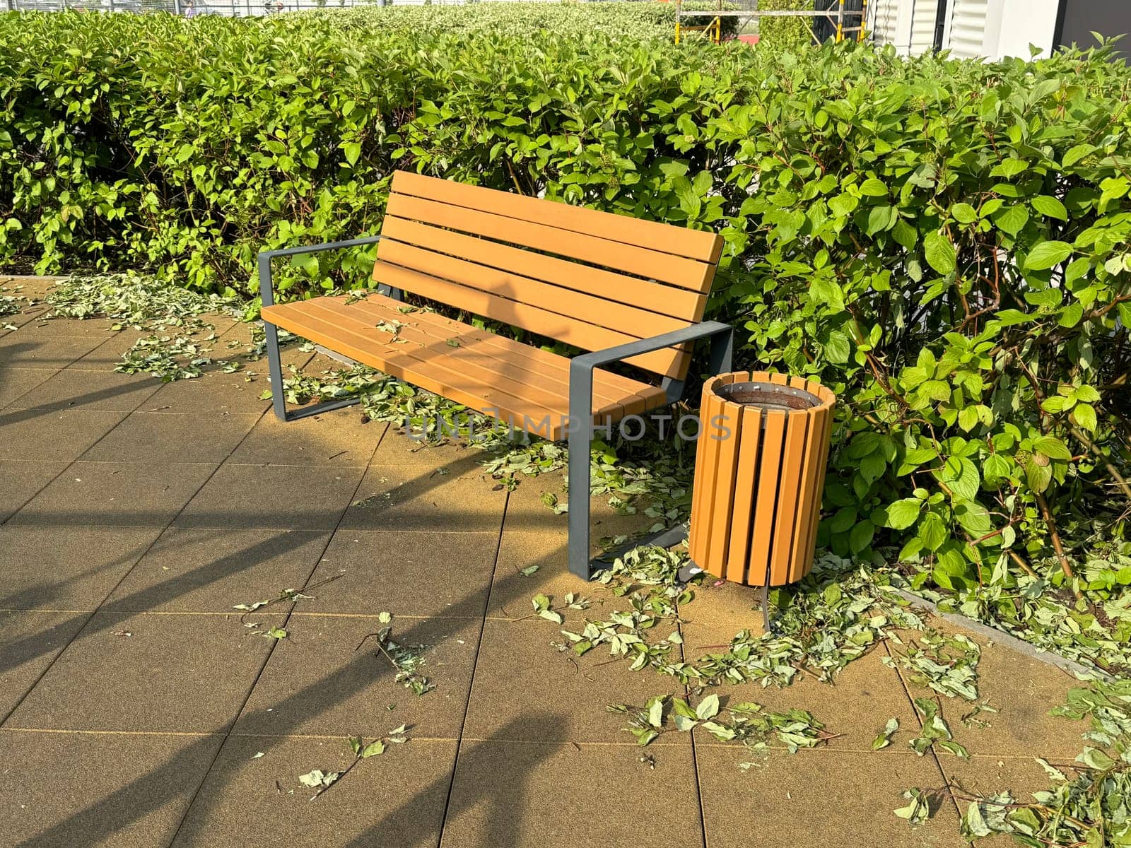 a trimmed hedge with leaves left in a circle on the pavement . High quality photo