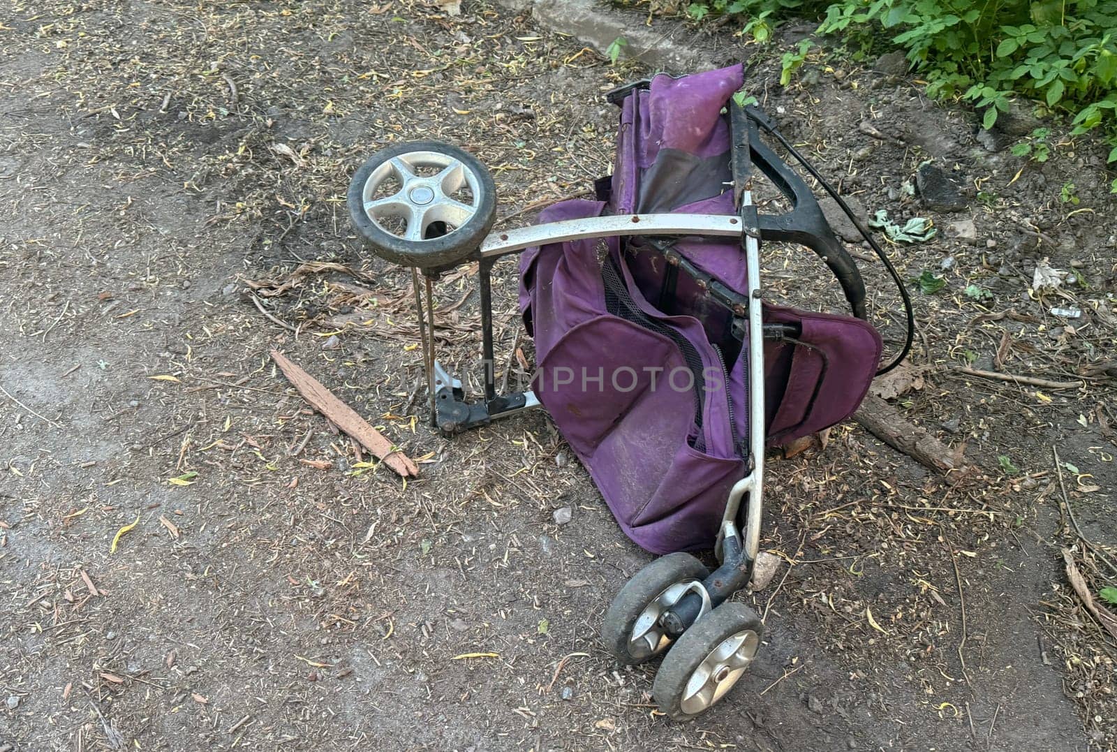 garden cart with two walnuts in the garden in early fall. High quality photo