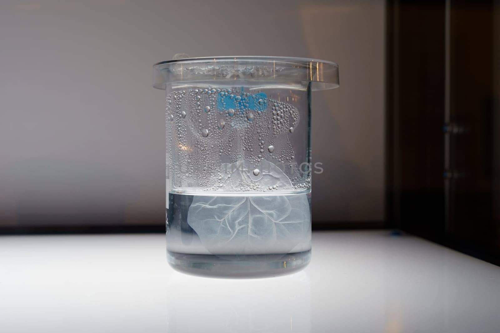 A discolored plant leaf observed in a test tube filled with liquid under laboratory conditions, showcasing an experiment in a controlled environment. The setup is intended for chemistry and biology research.